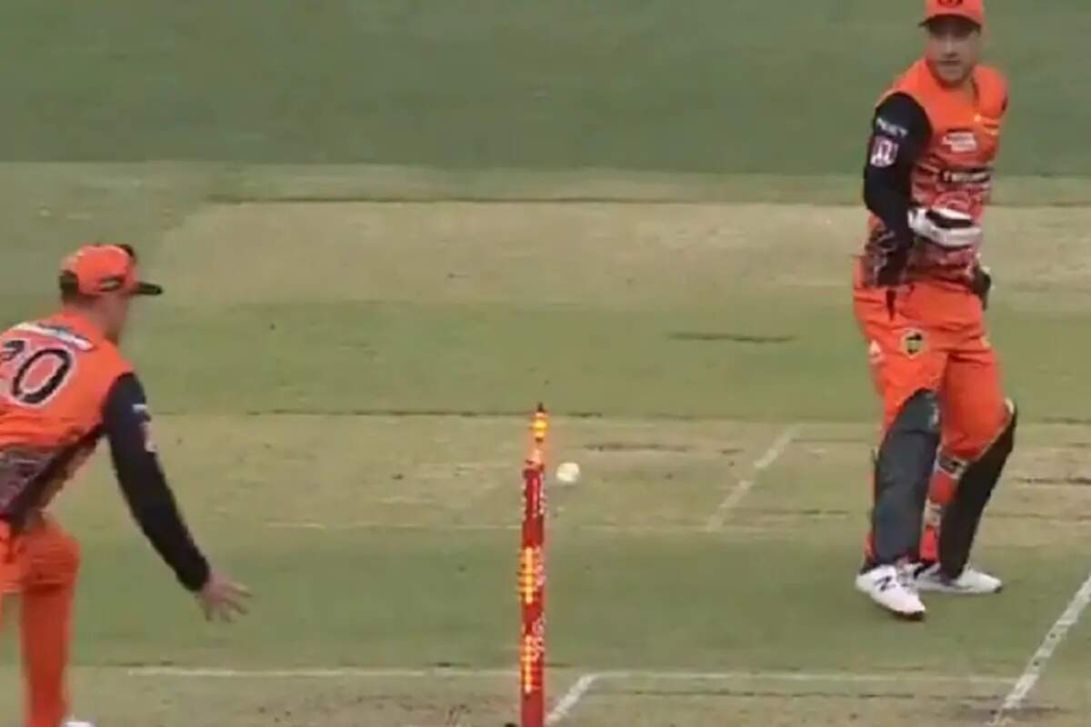Watch! John Inglis effect a funny run out as Jason Roy cannot control his laughter